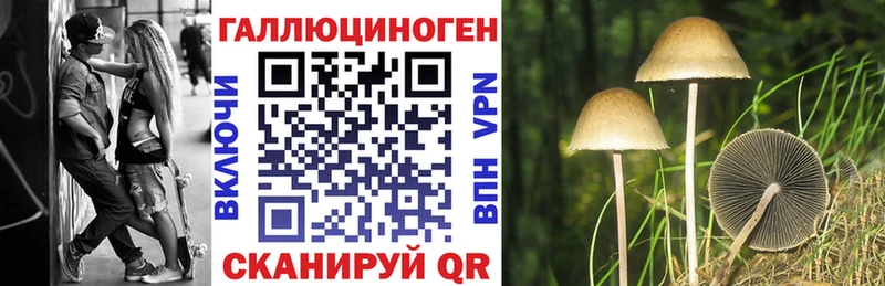 сайты даркнета наркотические препараты  Калачинск  Галлюциногенные грибы Cubensis 